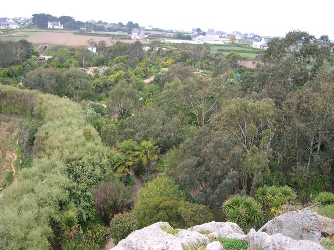  vue d'ensemble du jardin exotique